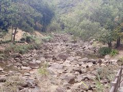 -广州白江湖森林公园