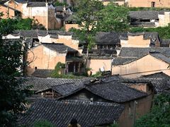 -杨家堂村
