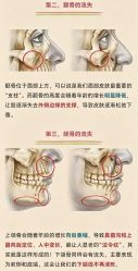 点击看大图 -玛莲朵·海菲秀冰珀科