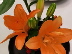 -虹御轩·传承江浙菜(虹桥店)
