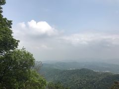 -广州市帽峰山景区