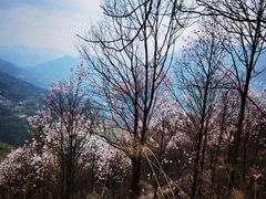 -九皇山景区