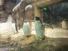 -哈尔滨波塞冬海底世界