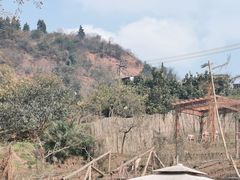 -玫瑰庄园·自助烧烤·烤全羊·团建拓展(龙泉山店)