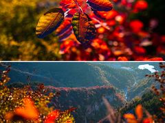 -潭溪山