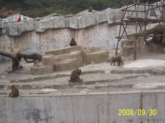 -大连森林动物园