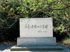 -白水寺森林公园