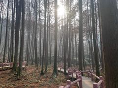 -波尔登森林公园