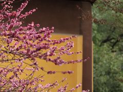 -慧因高丽寺