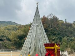 -宁海安岚·南溪阁全日餐厅