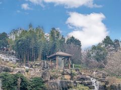 -秀丽东方