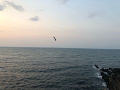 -龙头岩(Dragon Head Rock)