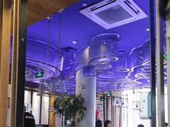 -老板恋上鱼(恒隆广场店)