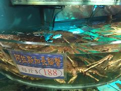海港酒家(始创中心店)-海港酒家(始创中心店)