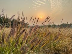 -汉长安城未央宫国家考古遗址公园