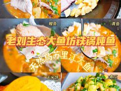-老刘生态大鱼坊铁锅炖鱼(赛马场店)