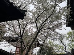 -寒山寺