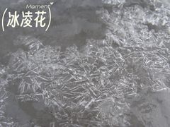 -秦岭风景区