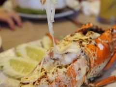 -Red Lobster