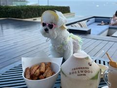 -瑰丽酒店·海吧·天际下午茶·现场DJ·天台酒吧