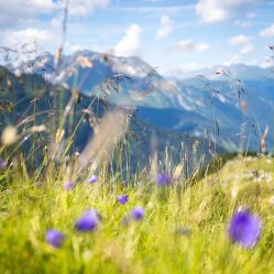 -宋氏家传催乳工作室(罗南新村店)