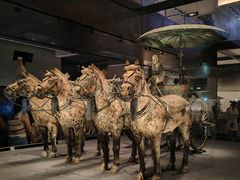 -秦始皇帝陵博物院-丽山园