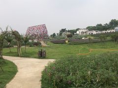 -紫颐香薰山谷景区