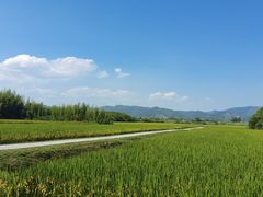 -良渚古城遗址公园