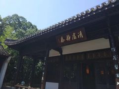 -龙井村
