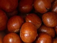 -小宝栗子(西安道店)