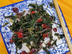 -照金特色农家乐
