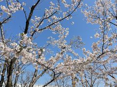 -龙美术馆(西岸馆)
