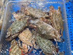 -王庄阿咪海鲜大排档(上下杭店)
