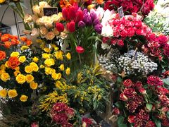 -植物学家的女儿(北马道巷店)