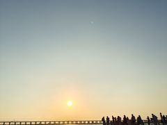 -宝安西湾红树林湿地公园