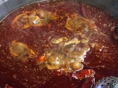 -赵美丽·重庆社区火锅·直营店(火车东站·中豪国际店)