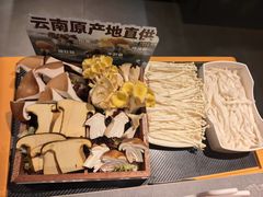 -潮发潮汕牛肉店(东方宝泰店)