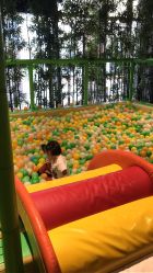 -奇幻丛林(佛罗伦萨小镇店)