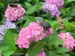 -苏州河梦清园环保主题公园