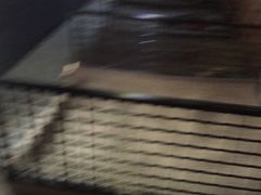 -绿岛汤泉韩式休闲会所