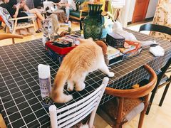 -万小咖.猫咖(中山路天虹店)