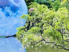 -深圳仙湖植物园