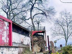 -山沟沟景区