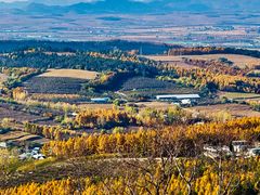 -帽儿山国家森林公园