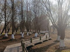-长广溪湿地公园