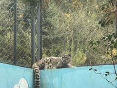 -青藏高原野生动物园
