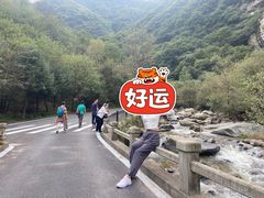 -少华山国家森林公园