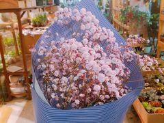 -双季花艺园艺市场(浦东店)