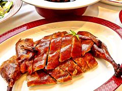 -圆苑(淮海路店)