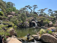 -罗红摄影艺术馆